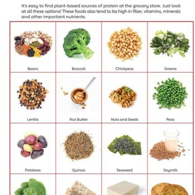Plant_based_protein_sources_infographic-1